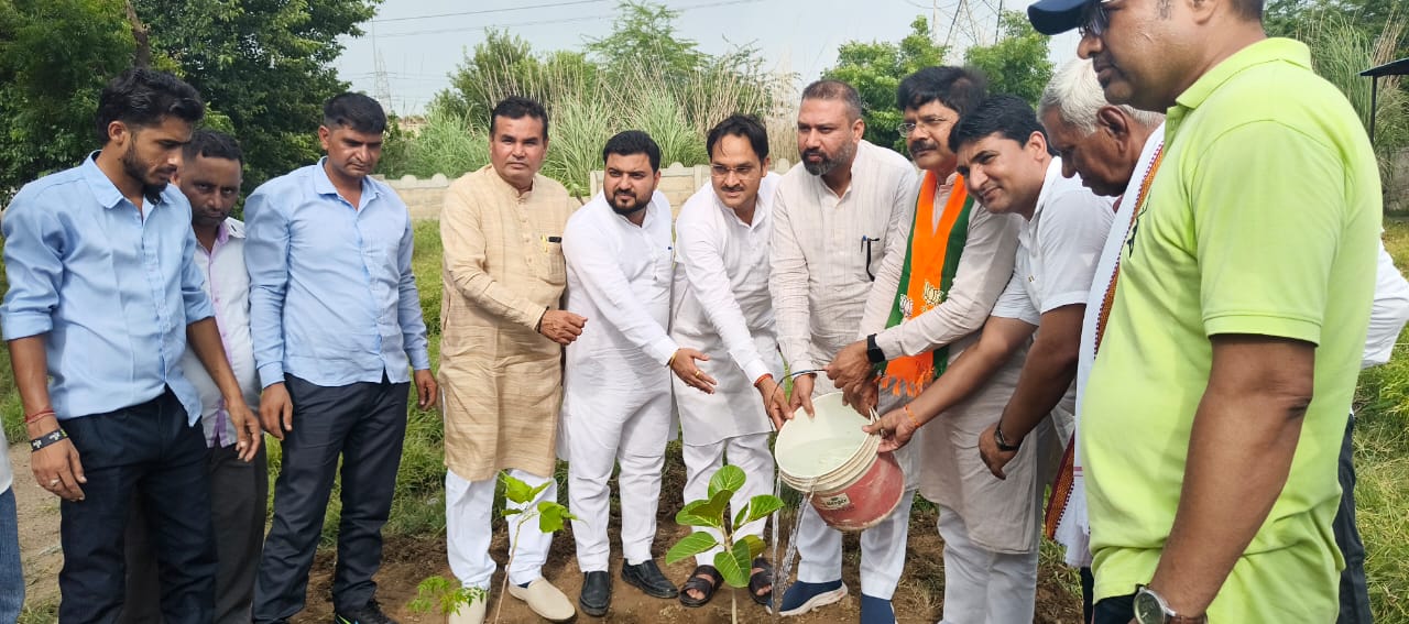 BJP Hansi District Incharge Deepak Sharma and District President Ashok Saini planted saplings at Mayyad Toll Plaza.